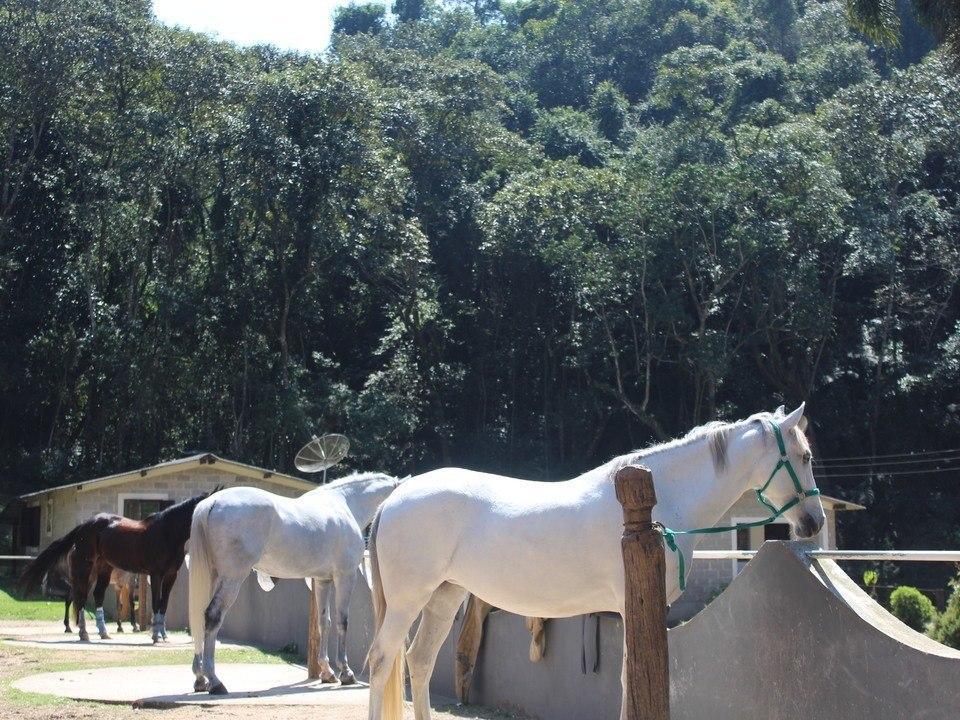 Hotel Fazenda Apm Caieiras Exterior photo